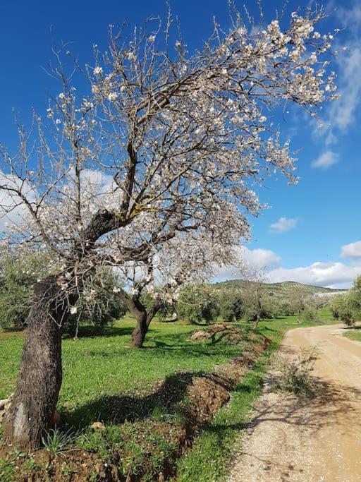 Casa Holmes Βίλα Las Casillas  Εξωτερικό φωτογραφία