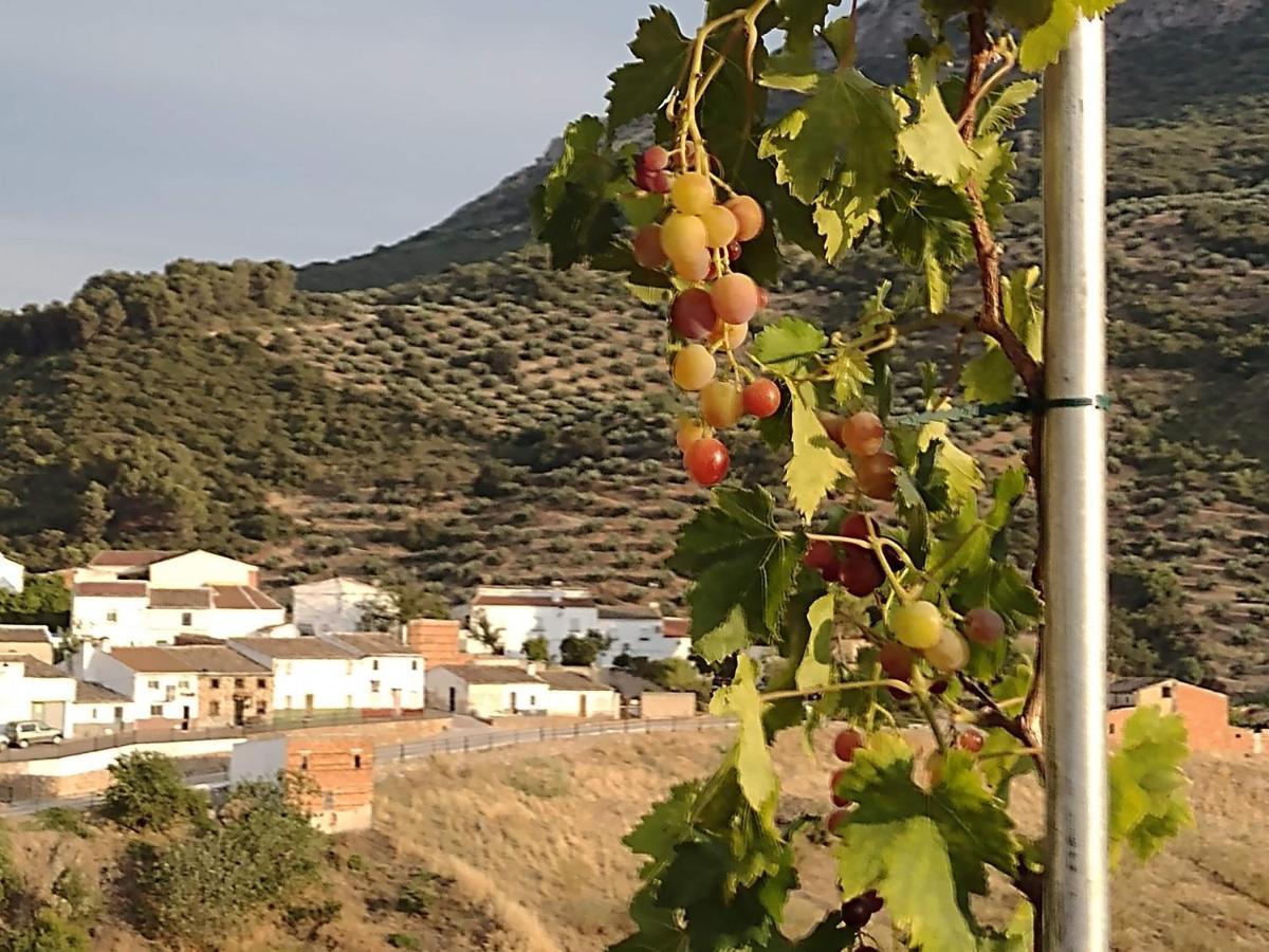 Casa Holmes Βίλα Las Casillas  Εξωτερικό φωτογραφία